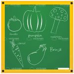 Illustrated Sketched Vegetables on a Green Chalk Board